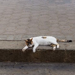 2015-09-11 14-55-18 Kos